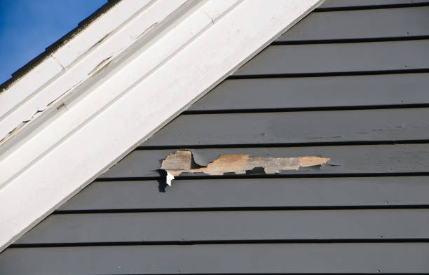 Best Steel Siding Installation  in Hawthorne, NJ